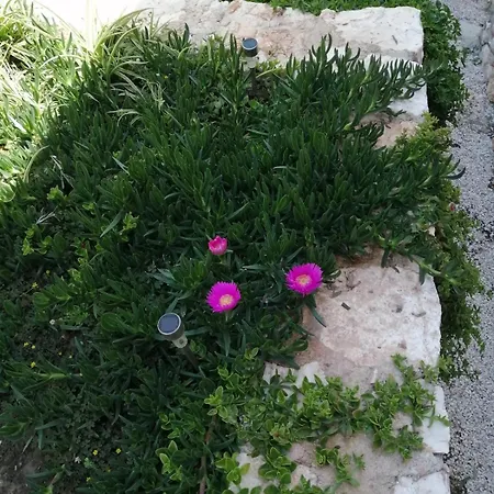 Hébergement de vacances Private Restored Stone House With Terrace And Gardens