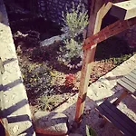 Private Restored Stone House With Terrace And Gardens * Demre