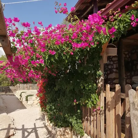 Private Restored Stone House With Terrace And Gardens Casa de Férias Demre