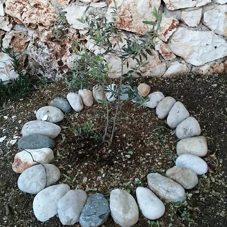 Private Restored Stone House With Terrace And Gardens * Demre