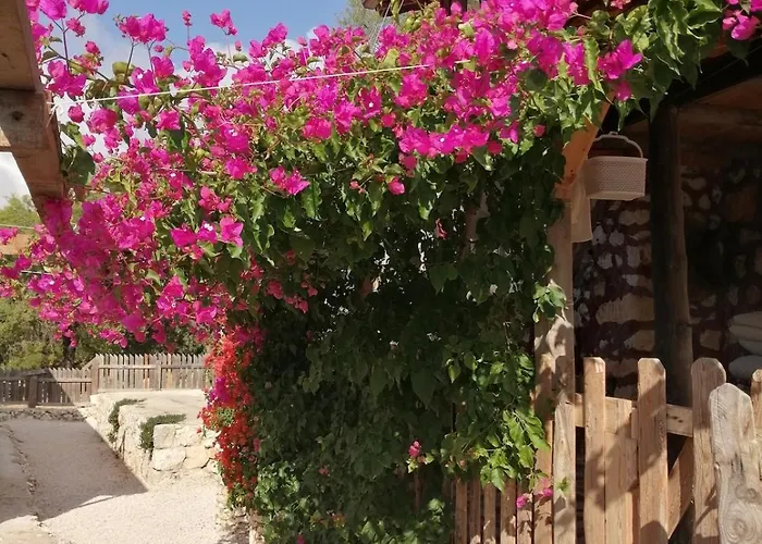 Private Restored Stone House With Terrace And Gardens Holiday home Demre