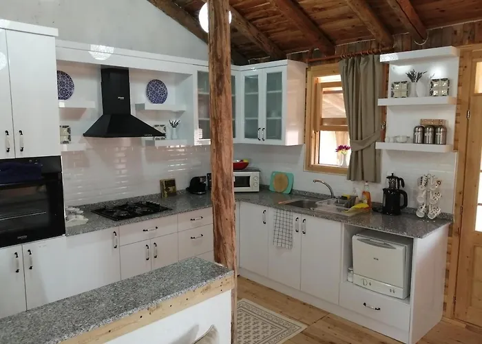 Private Restored Stone House With Terrace And Gardens Holiday home Demre