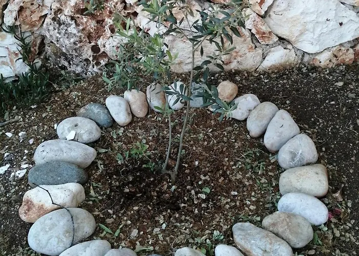 Private Restored Stone House With Terrace And Gardens * Demre