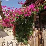 Private Restored Stone House With Terrace And Gardens בית נופש דמרה