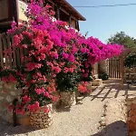 בית נופש Private Restored Stone House With Terrace And Gardens *