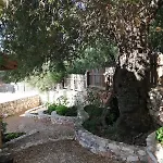 בית נופש Private Restored Stone House With Terrace And Gardens דמרה