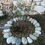 Private Restored Stone House With Terrace And Gardens * דמרה